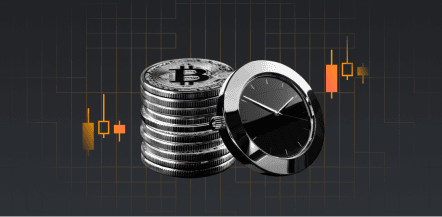 discoverOptionsBybitLearn